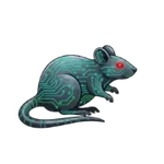 Rat PDF