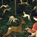 Against the Dark Forest