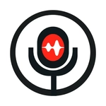 Effortless Voice Memo Management