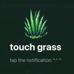 Touch Grass