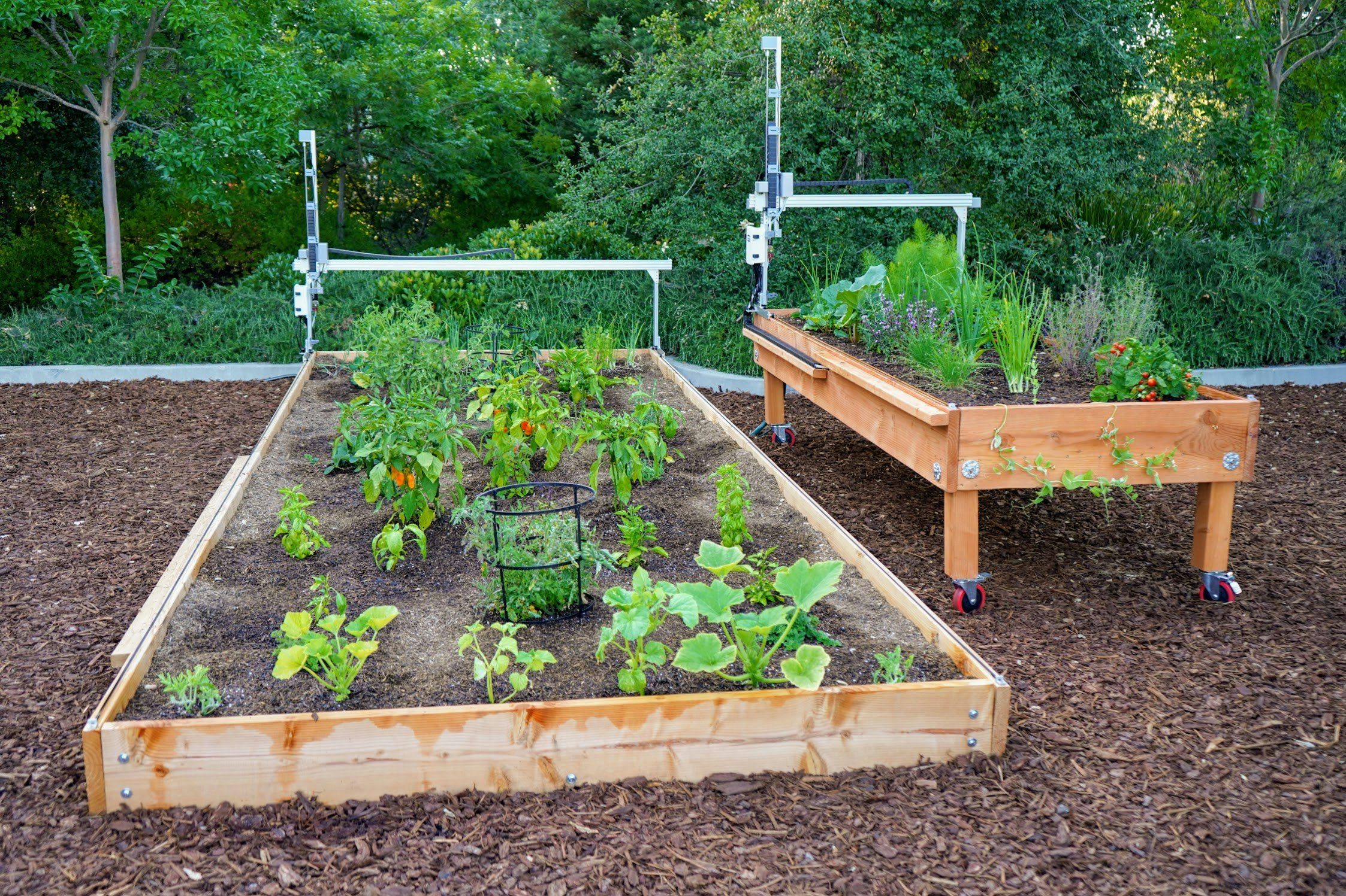 FarmBot Express and Express XL