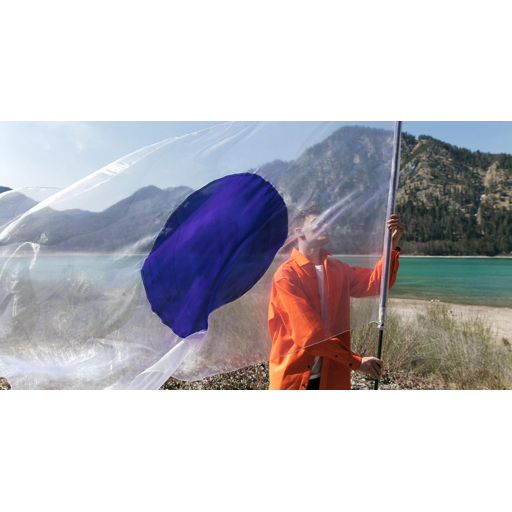 One World Flag