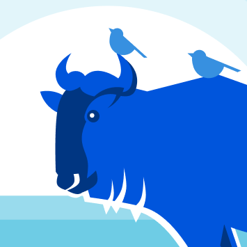 Wildebeest