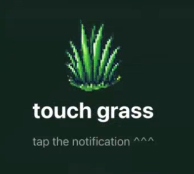 Touch Grass