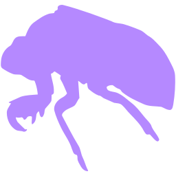 Animalist