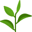 Plant Smart